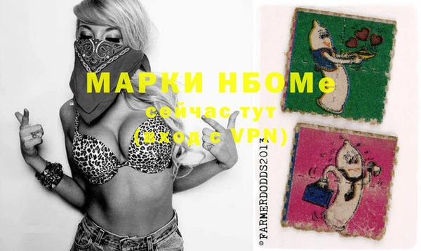шишки Аркадак