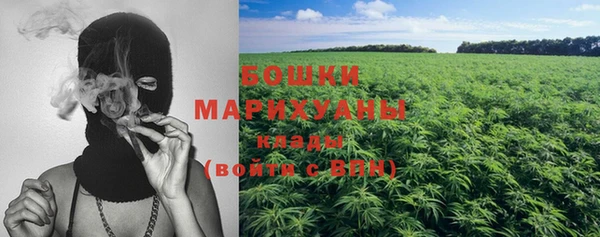 шишки Аркадак