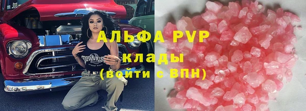 шишки Аркадак