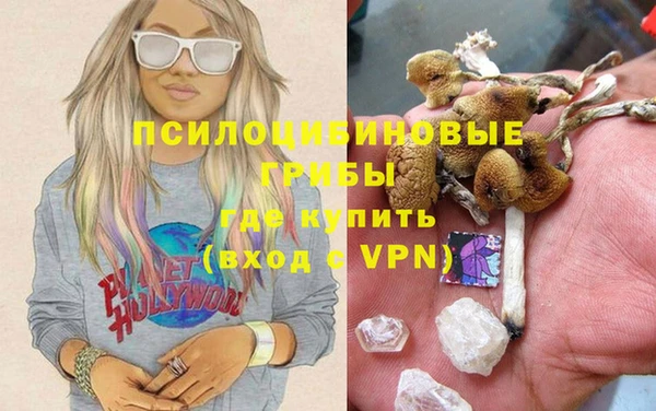 a pvp Алексин