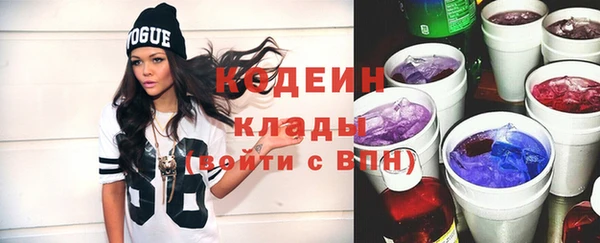 шишки Аркадак