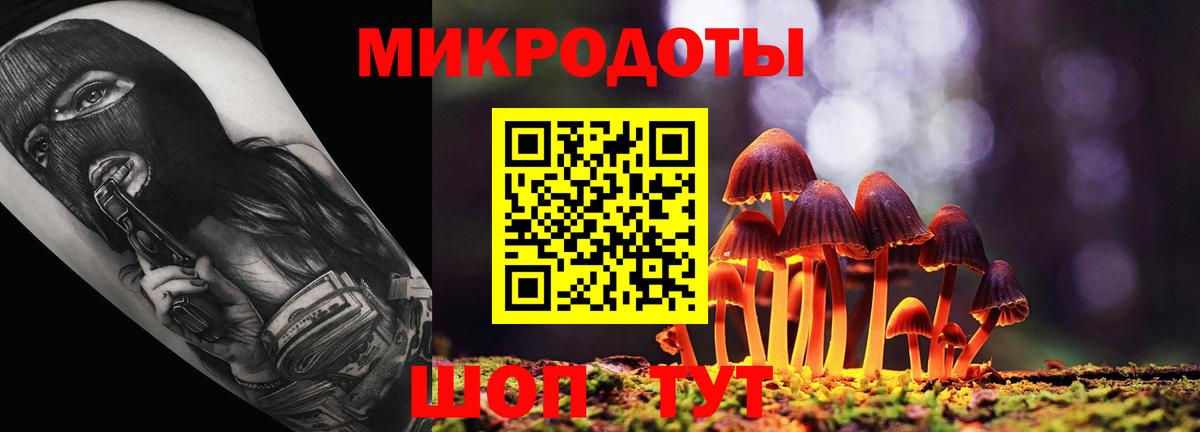 Галлюциногенные грибы MAGIC MUSHROOMS Качканар